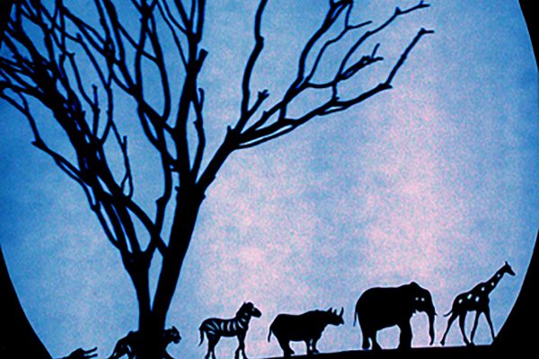 SNoiseau1